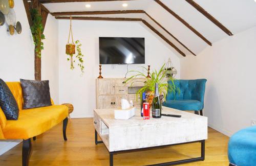 Saint-Avertin House | Manoir Drissia - Tours Centre, France