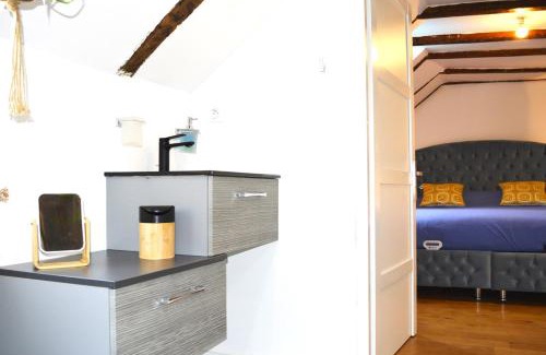 Saint-Avertin House | Manoir Drissia - Tours Centre, France