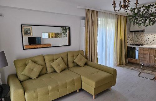 Otopeni Apartment | Manolaire Airport Residence