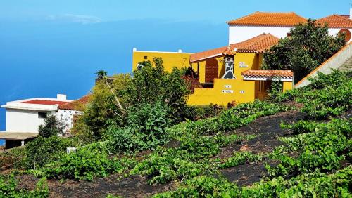 Las Indias House | Manuela
