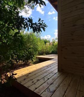 Punta Negra Ski Chalet | Mapuche de Puntanegra