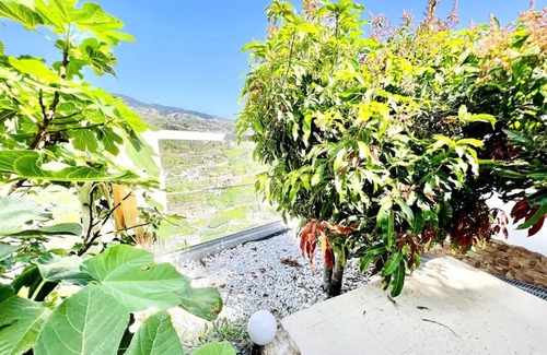 Tabua House | Mar a Vista by Your Madeira Rentals