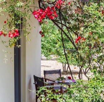 Eggares House | Margouno Eco Cottage