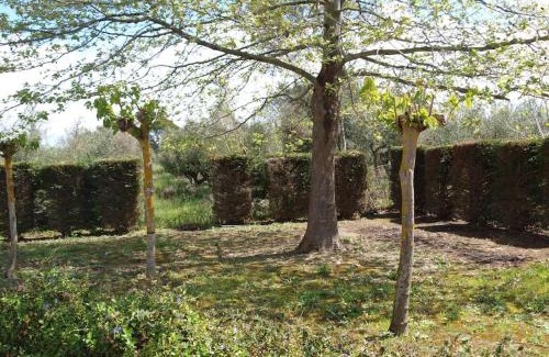 Leventochori House | Maria's House 2