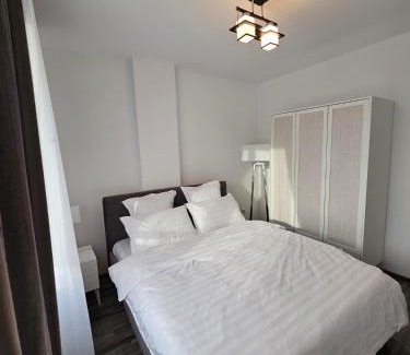 Baia Mare Apartment | Maria's Premium Suite