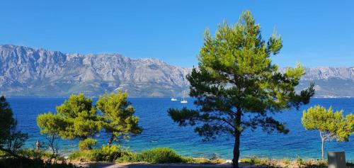 Sucuraj Apartment | Marija Holiday Home