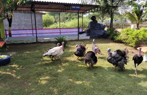 Shahapur Villa | MARS Nature Resort