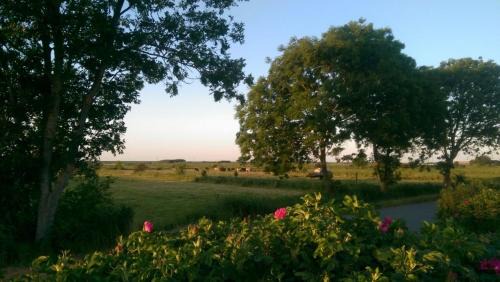 Oldsum House | Marschblick