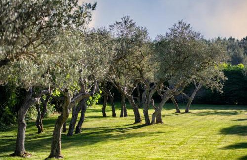 Les Baux-de-Provence Hotel | Mas de l'Oulivié