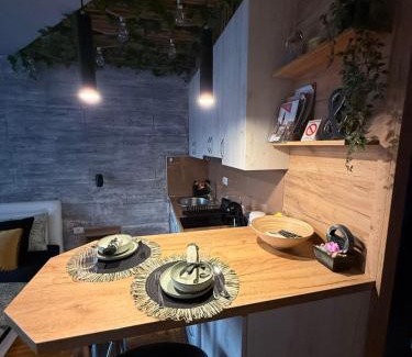 Subotica Apartment | Maslačak Subotica