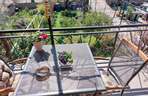 Pirovac Apartment | Matija i Bartol