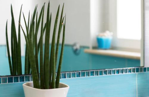 Porto d'Ascoli Apartment | Mavip Residence
