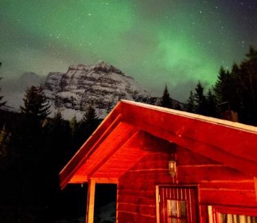 Grovfjord House | Maxi Cabin with Sauna and Jacuzzi