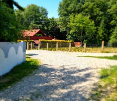 Bacau County Villa | MAXX Lodge