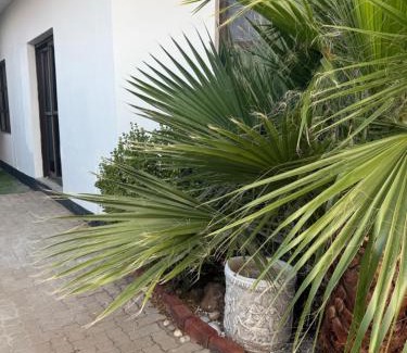 Windhoek Bed & Breakfast | Mecky's Villa