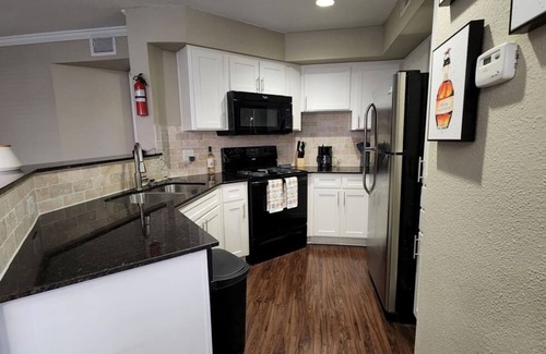 Astrodome Apartment | Med Center Charm 2BR Haven