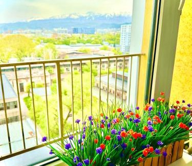 Almaty Apartment | MEDINAHOTELKZ, # 70, вид на горы, до арбата 15 мин пешком, HALAL