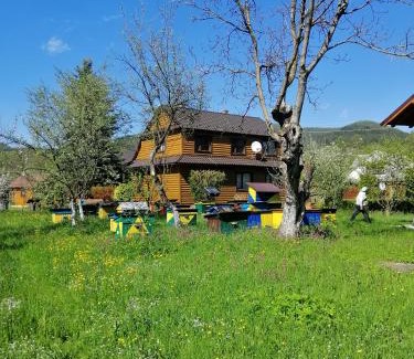 Mykulychyn House | Medova Hata