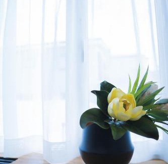 Asahikawa House | meet