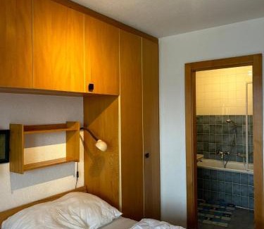 Veysonnaz Apartment | Melezes K 021 - SKI & NATURE apartment 6 pers