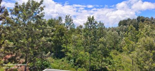 Yercaud House | Memmsta Hotels - 3517