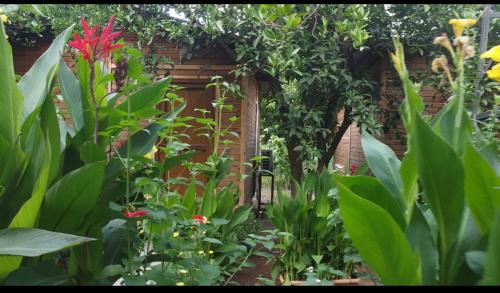 Olympos House | mercan pension