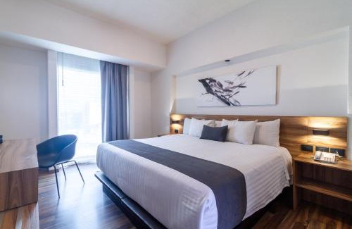 Financial District Hotel | Mesón Ejecutivo Guadalajara Minerva - Av México