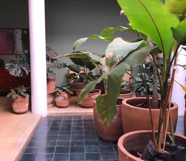 Downtown Guadalajara Apartment | Mesón San Felipe