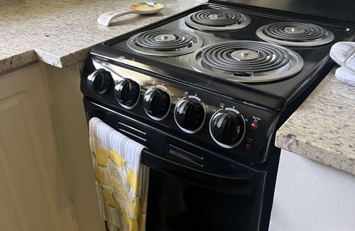Huntsville Apartment | Metro World 2 Bdrm near Dwntwn Huntsville Med. District, Lowe Mills, UAH/OU/A&M