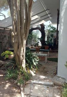 Los Canos de Meca Resort | Mi Cachito