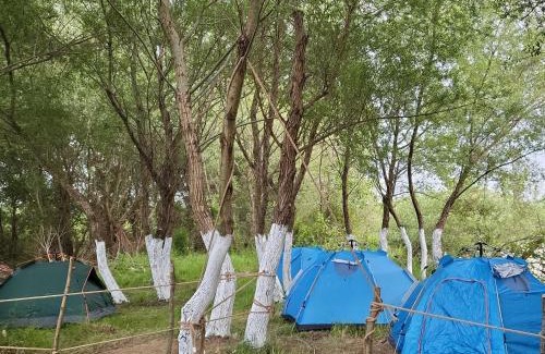 Rade Other | Micro Africa Camping Site