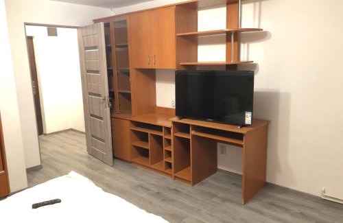 Campulung Moldovenesc Apartment | Microapartament Campulung Moldovenesc