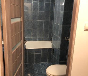 Campulung Moldovenesc Apartment | Microapartament Campulung Moldovenesc