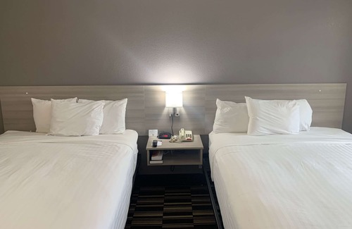 Toddville Road Hotel | Microtel Inn by Wyndham Charlotte Airport