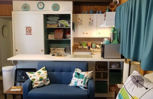 Clear Lake Apartment | Mid Century Guesthouse with Lake View!
