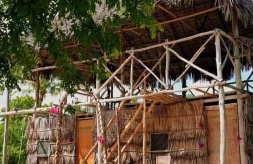 Gede Other | Mida Creek Nature Camp