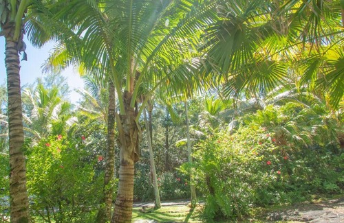 Keaau House | Mika Kai-Epic Spot for Whale Watching!