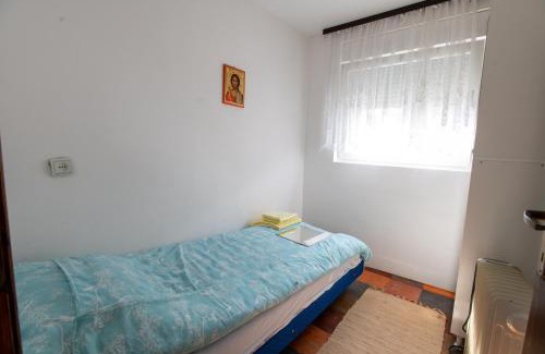 Banja Koviljaca House | Mikijev drinski san