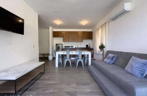 Santiago Ski Chalet | Mikono Rentals - Departamento, quinta, cabaña en Santiago