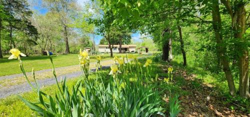Luray House | Millie`s Place