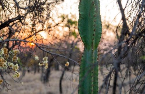 Hammanskraal Cabin | Minara Private Boutique Game Lodge