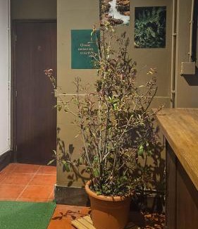 Vila do Conde House | Mindelo