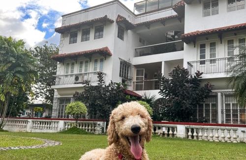 Bagong Lipunan Ng Crame Apartment | MiraNamin Nest BANABA Suite in Unique Historic Home - Garden View, Shared Kitchen, Rooftop, Pet Friendly with a Fee