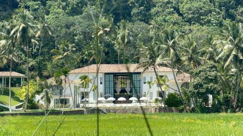 Unawatuna Hotel | Miss Ceylon Unawatuna