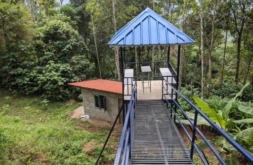 Udumbanchola Bed & Breakfast | Misty Valley Hospitality,Munnar