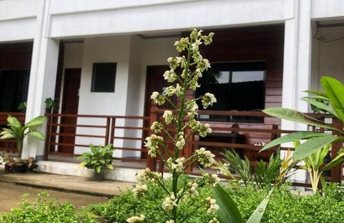 Siquijor Apartment | MLB Beachfront Apartment