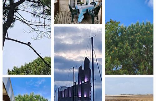 Les Mathes Resort | Mobile-home Bonne -Anse Plage