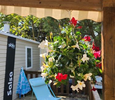 Les Mathes Resort | Mobile-home Bonne -Anse Plage