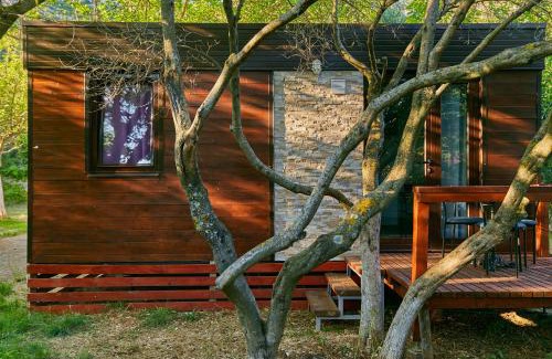 Babino Polje Other | Mobile homes village "MUNGOS" Mljet