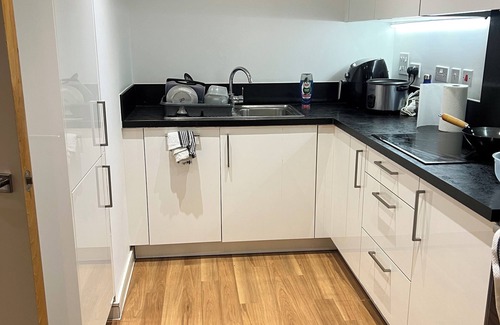 Royal Docks Apartment | Modern 1 bedroom by Thames w balcony-1 min to DLR, easy access to central London